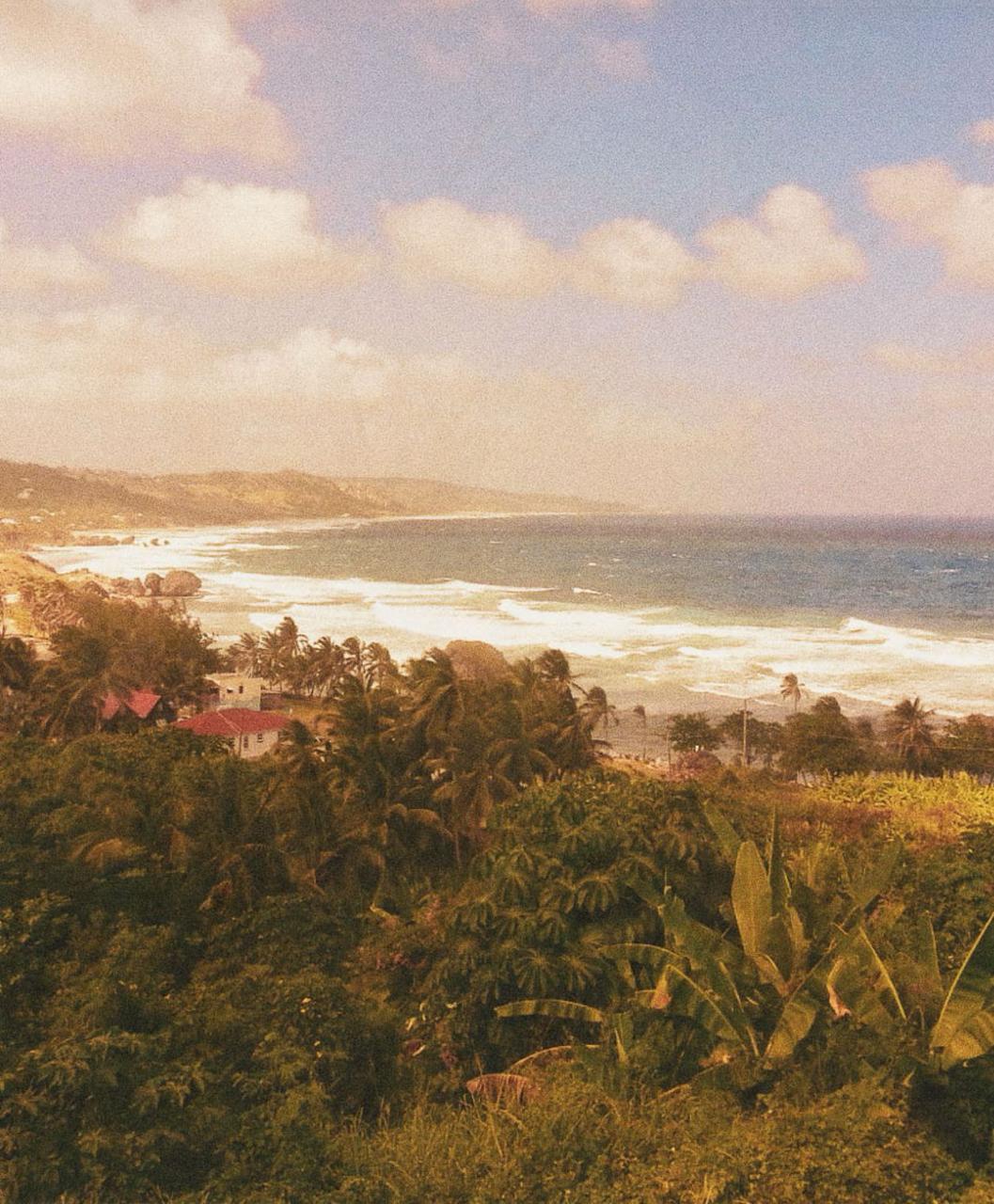 A scenic coastal landscape with a tropical beach, ocean waves, distant hills, and dense green foliage in the foreground under a cloudy sky.