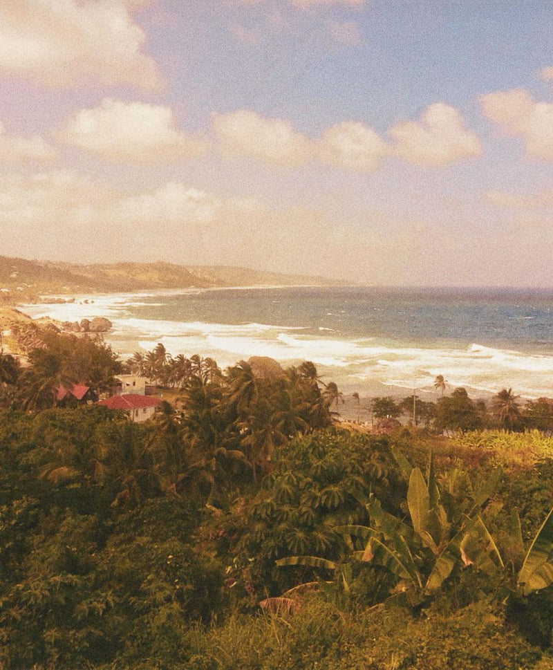 A scenic coastal landscape with a tropical beach, ocean waves, distant hills, and dense green foliage in the foreground under a cloudy sky.