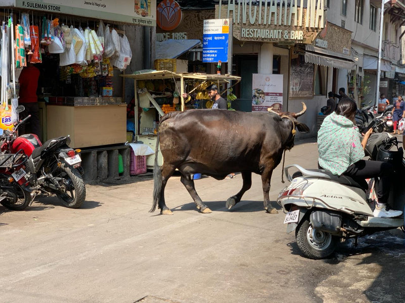 A dark brown cow walks along a busy street in front of small shops, with people sitting on scooters nearby.
